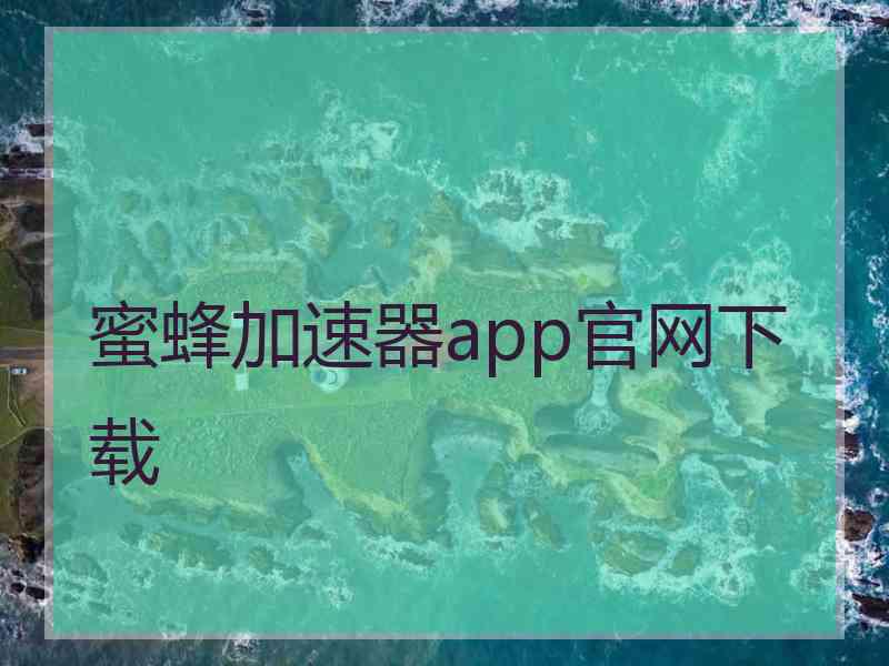 蜜蜂加速器app官网下载