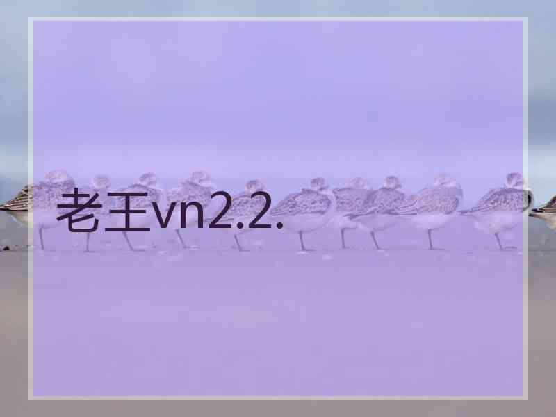 老王vn2.2.