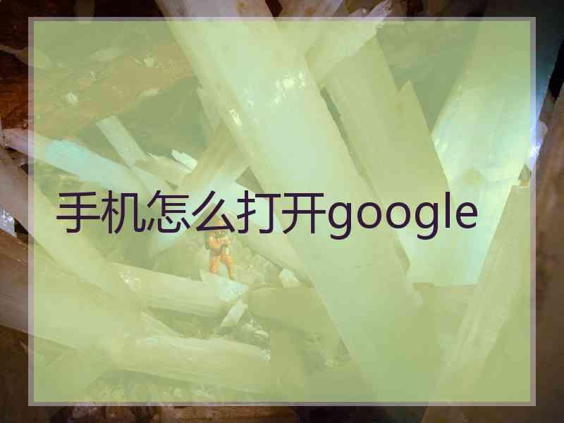 手机怎么打开google