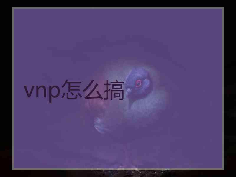 vnp怎么搞