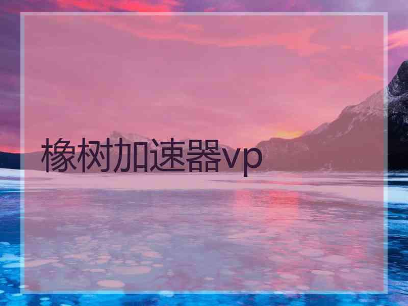 橡树加速器vp