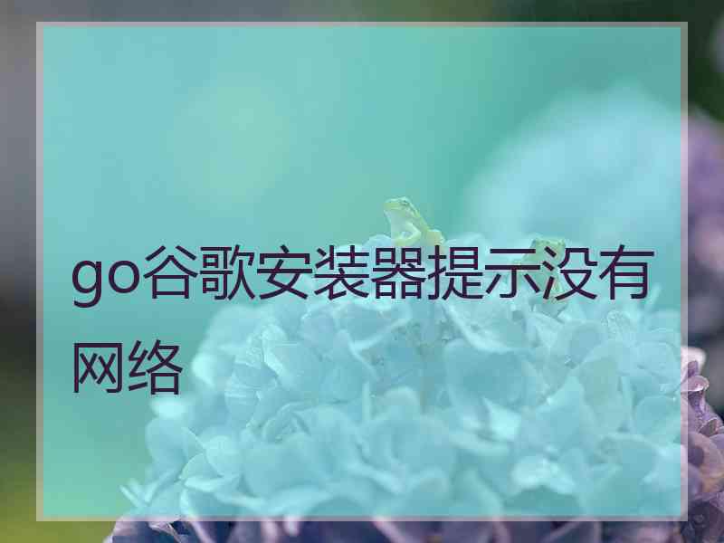 go谷歌安装器提示没有网络